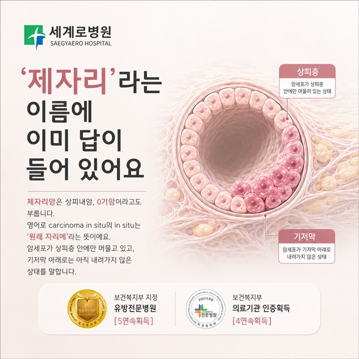 51c76-6aaba29094337-273f339521c77c1b827ed619246fe9d9c836d2c8.jpg