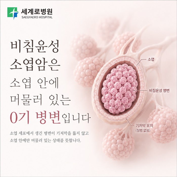 51c76-6ab358b281202-cca1645ac8e66a58c217244d257dd7604be69db2.jpg