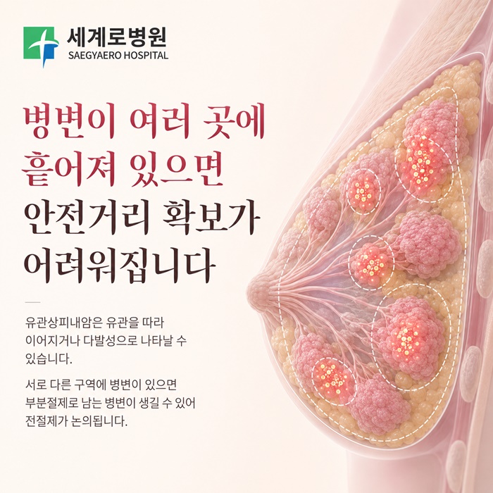 51c76-6ac67446b8be5-d3a8d74b5b88a0b3089544abc4c99dddba0403ac.jpg