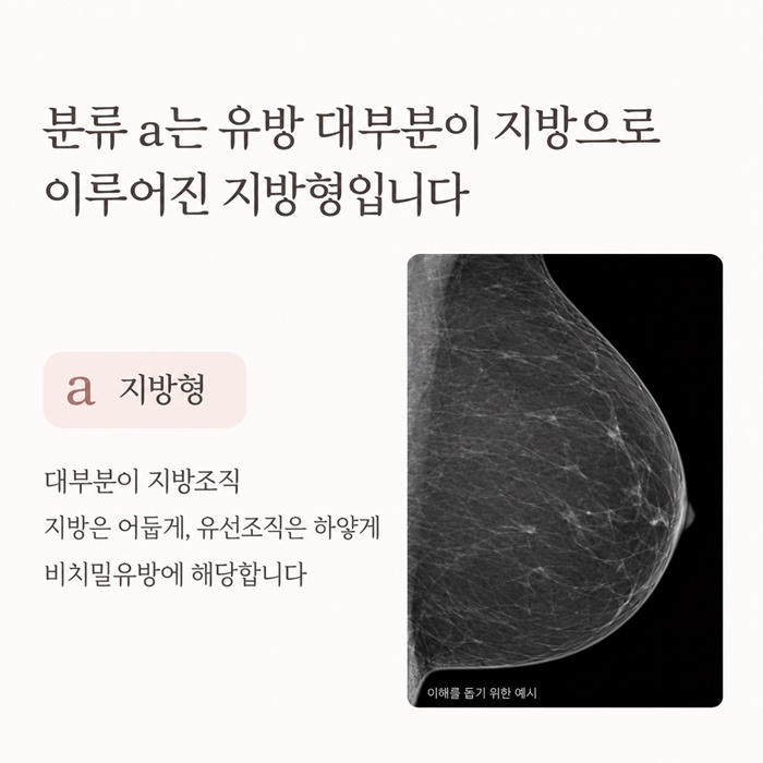 51c76-6ac7e9aa0df64-e52c9a5c12a587918a8cac5ac0ba2c9887c980e4.jpg
