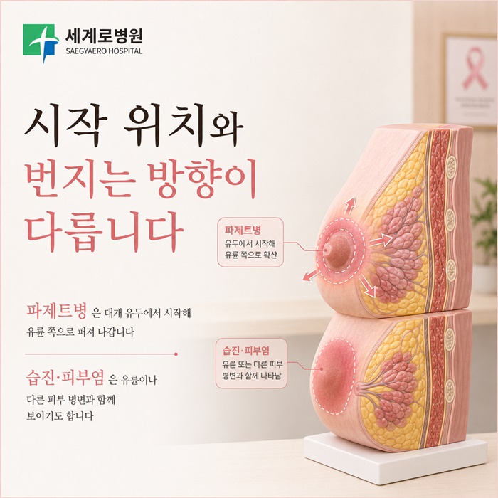 51c76-6accb3a72901d-6e702ced8fbcb447c82ba36371422b2c124144c1.jpg