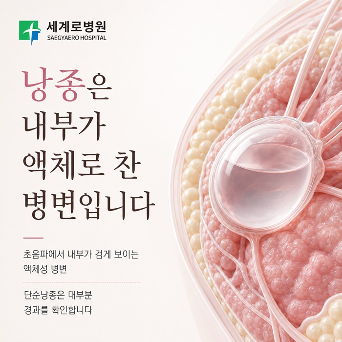 51c76-6acfc4356e07a-785091bfc2b69101814a8842f94e5088c4c7bb1b.jpg