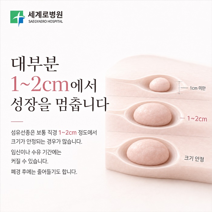 51c76-6ad3706d1cc7d-44819fdb618e4aa305af8f9b8bbdfecf75f5bdea.jpg