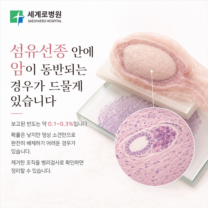 51c76-6ad3709d91cd1-98113a6c7075c312c26d015cd7f7411bf89ae8fb.jpg