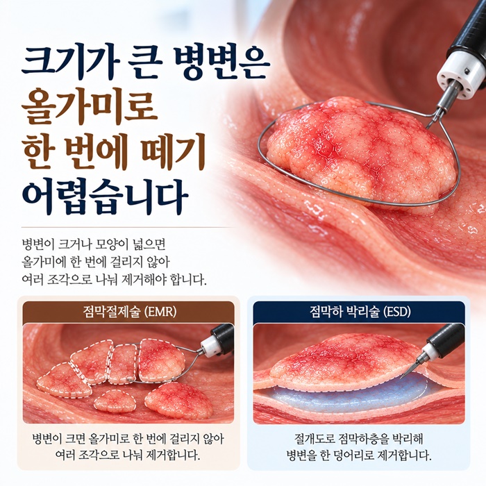 51c76-6ae160c42c040-9a1b35f7e51544d2febe7f1389cc37cb21e16b2f.jpg