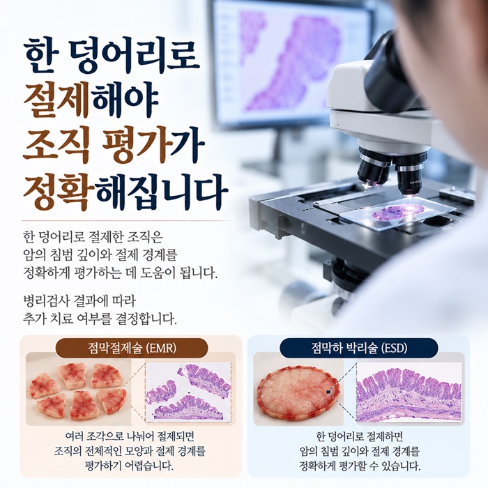 51c76-6ae160de33a8a-7ba381baf9f218f3bbecc9cb299efa3e244b57e5.jpg