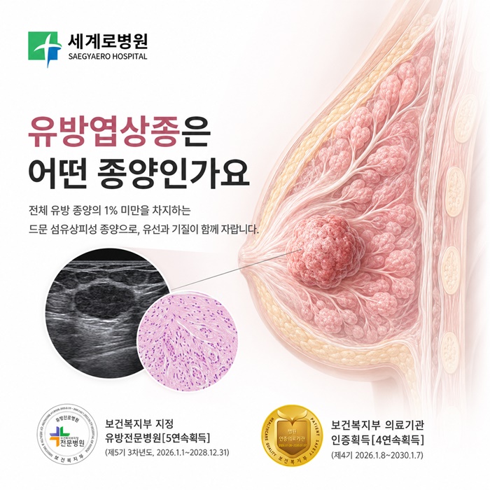 51c76-6ae23bf1e4011-e5318beb2b01b8ef36c88e162f8c6639dd72dcb1.jpg